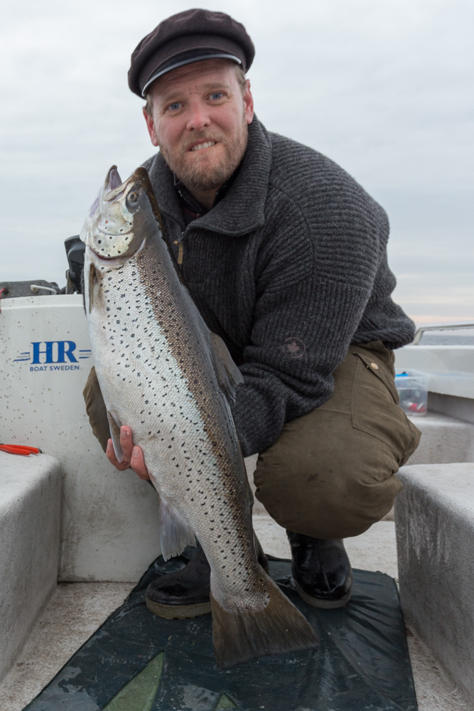 Öring 5,6 kg