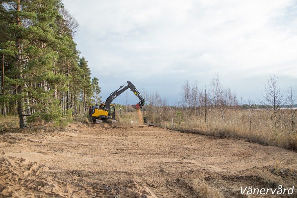 Restaurering av delar av Lilla Björnrukan österut mot Stora Björnrukan.