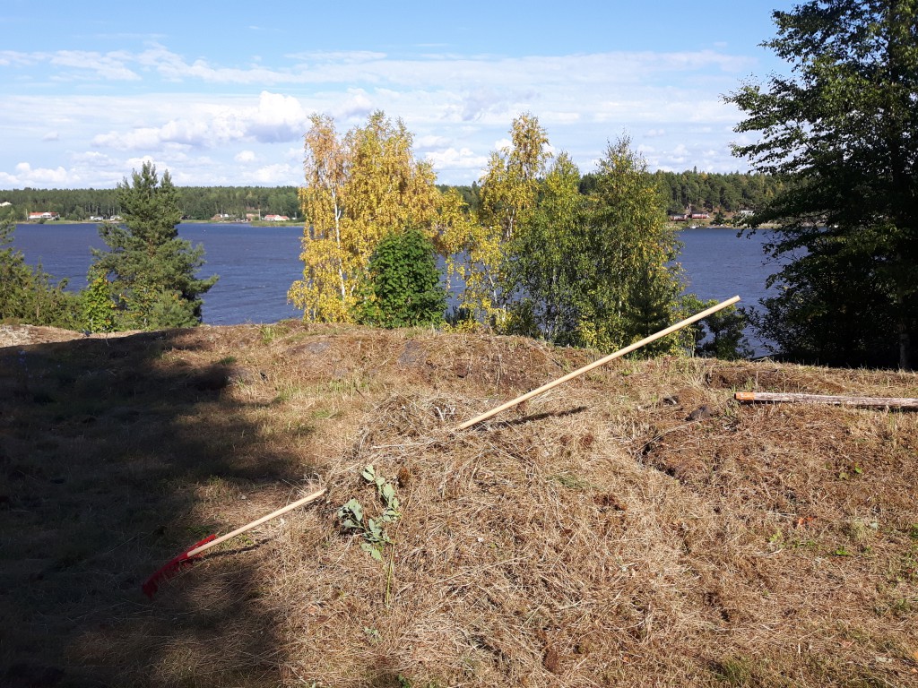 Torka på Saxholmen