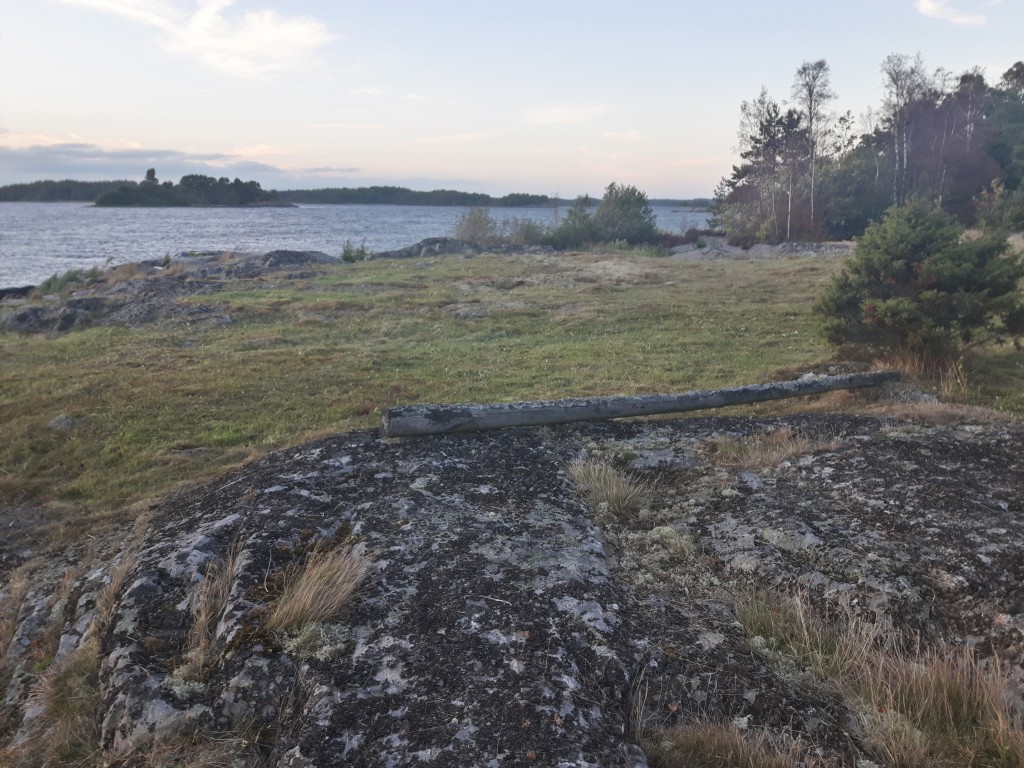 Gamla ängsmarker min fin flora och fauna.